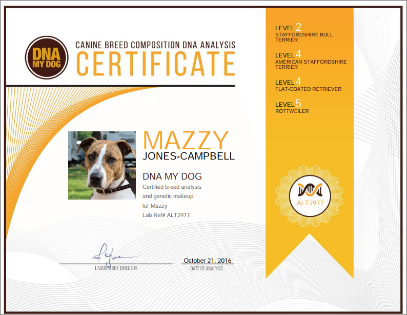IBDNA UK DNA My Dog Certificate